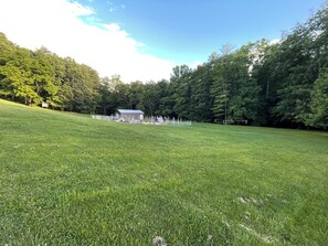 Property grounds - Cabin near Blue Ridge Parkway--only 20 minutes to Boone (Deep Gap)