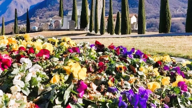 A church with a bell tower, surrounded by cypress trees and colorful flowers. - Just Restored close to Franklin College and Lugano (Montagnola)