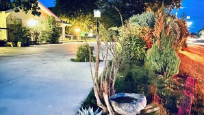Un jardin bien entretenu, agrémenté de diverses plantes et orné d’un bassin en pierre.