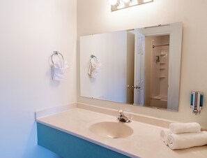 Combined shower/bathtub, hair dryer, towels