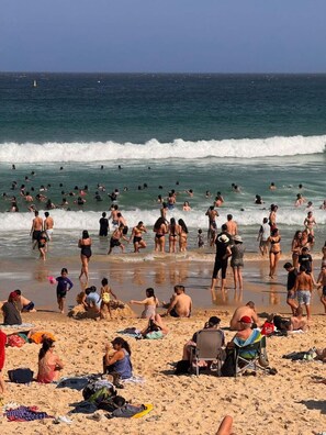 Beach nearby - Sun-Kissed Bondi Hideaway (Bondi)