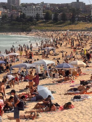 Beach nearby - Sun-Kissed Bondi Hideaway (Bondi)