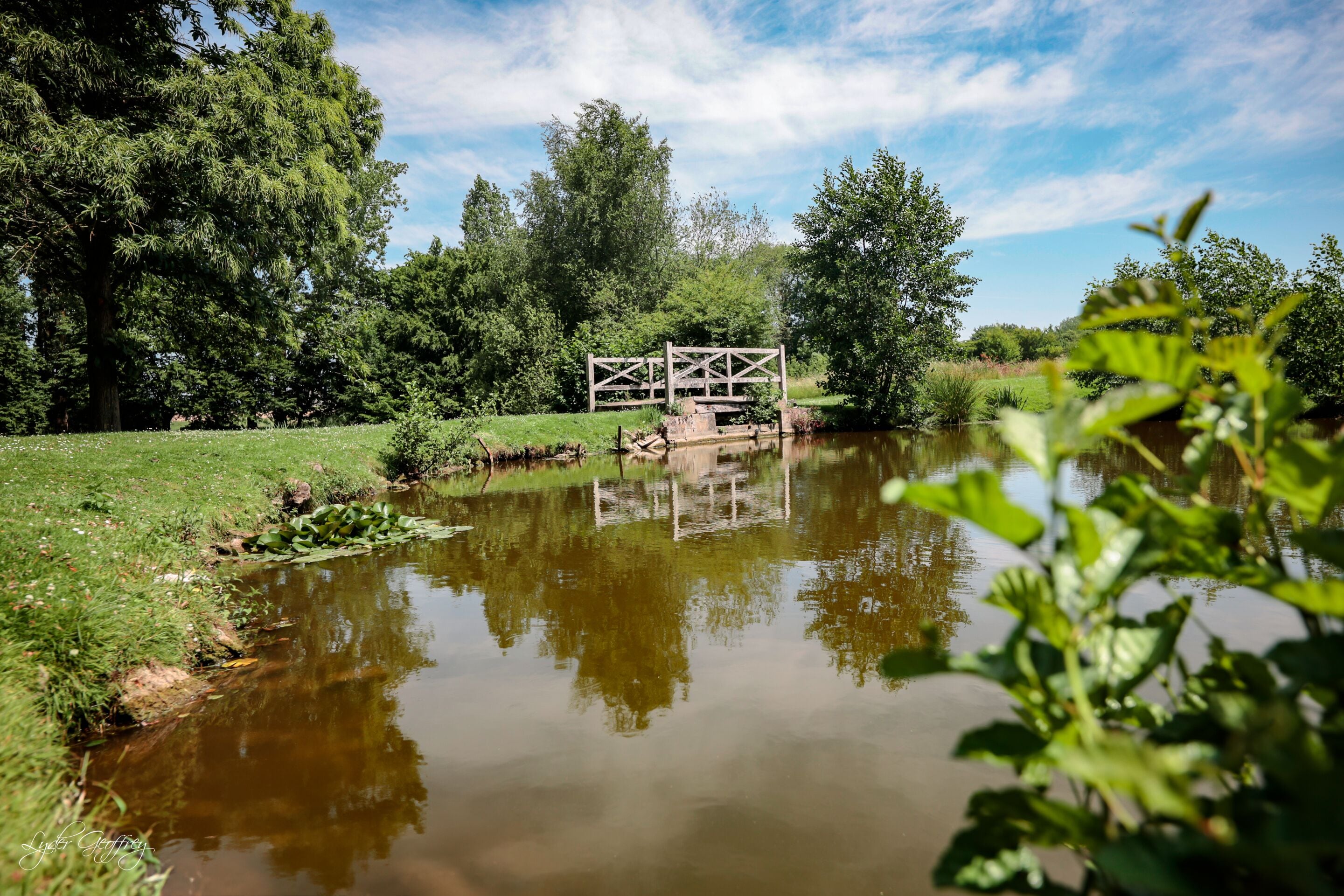 A tranquil pond with a wooden bridge, surrounded by lush greenery and trees.