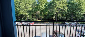Low Country Dawg House Stunning Walking Trails!