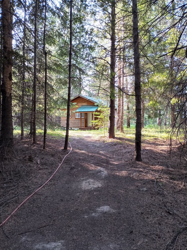 Exterior - Into the Woods Cabin - Rare, Remote, Relaxing. (Troy)