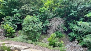 A garden with a stone pathway, dense greenery, and a Buddha statue. - Mountain Apartment, Minutes to Resorts & Services (Ogden)