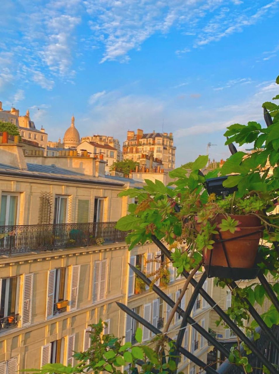 A view of a cityscape with multi-story buildings, including a prominent dome structure, and a balcony with potted plants.