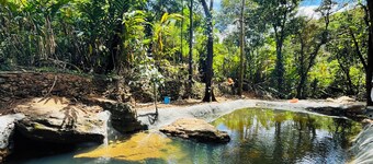 Our enchanting hillside property  in the breathtaking hill station of Vagamon