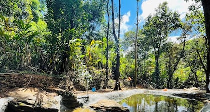 Our enchanting hillside property in the breathtaking hill station of Vagamon