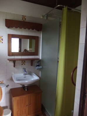 Hair dryer, soap, toilet paper