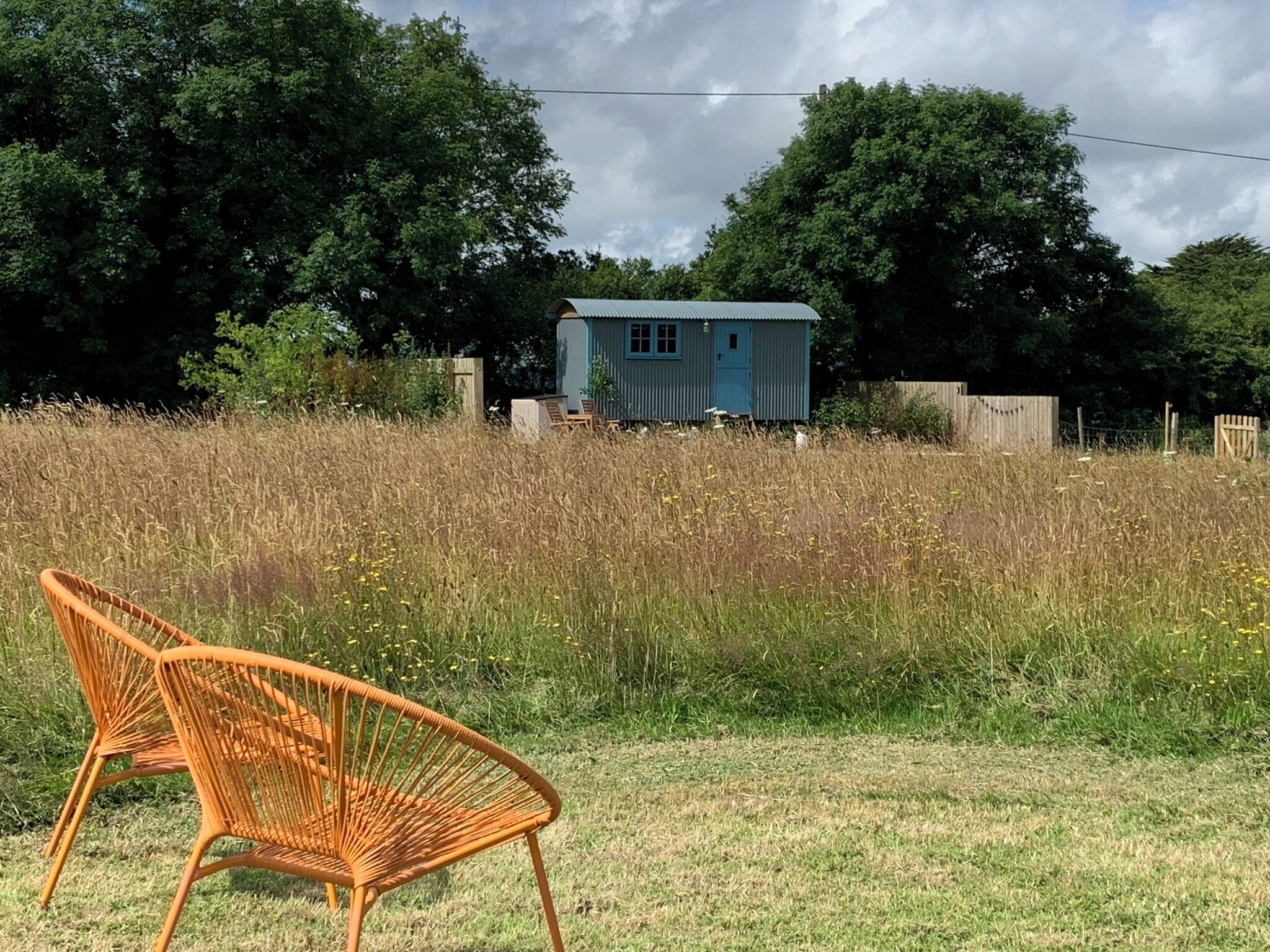 A rustic outdoor setting with a small blue shed, a wicker chair, and a field of tall grass.