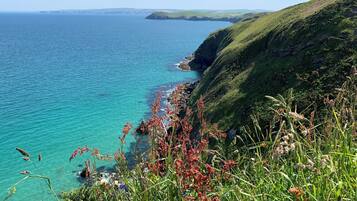 A coastal landscape with a grassy hillside and a clear view of the sea.