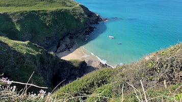 Beach/ocean view