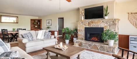 Smart TV, fireplace, books, music library
