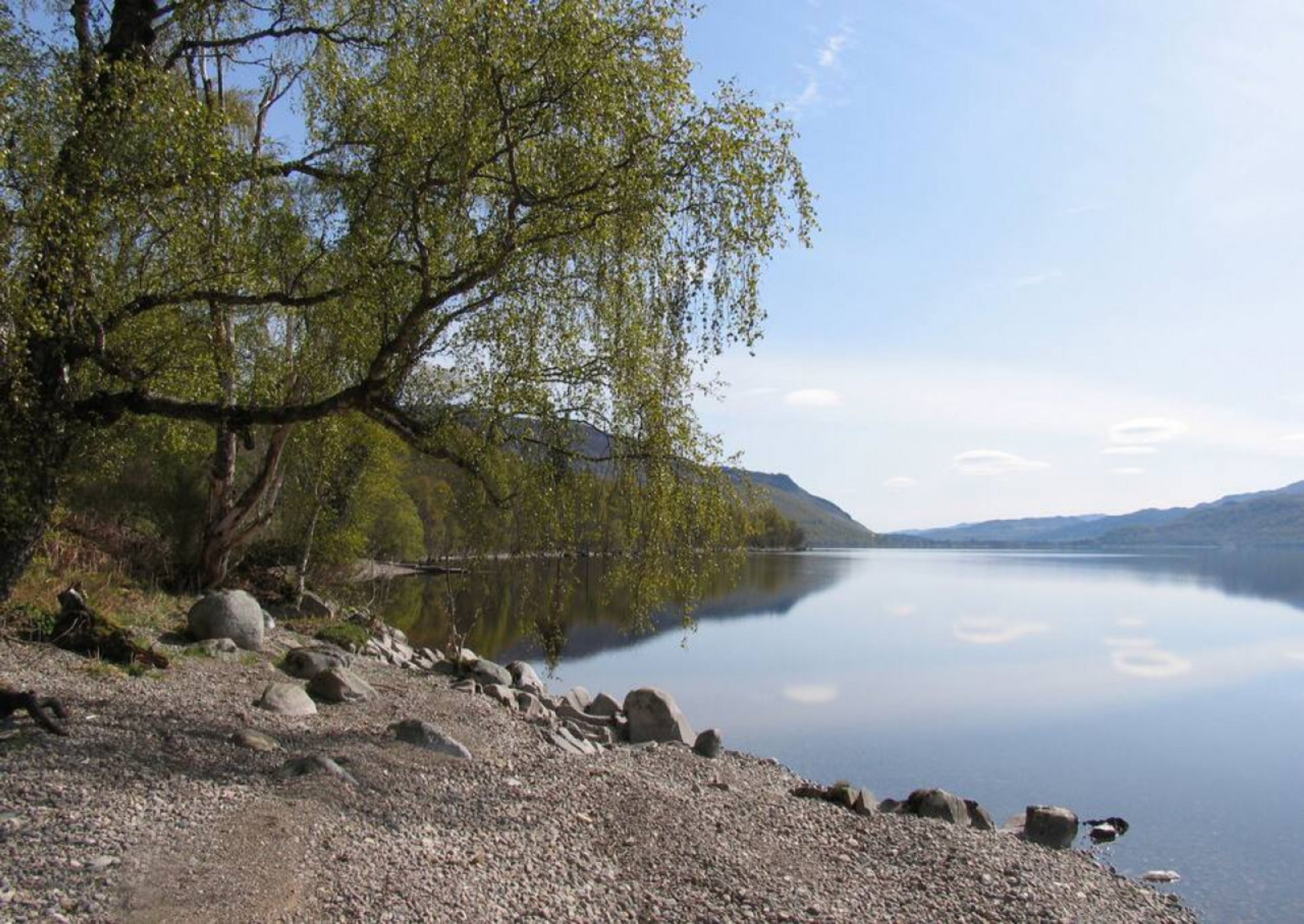 Un llac tranquil amb riba rocosa i un arbre a l'esquerra.