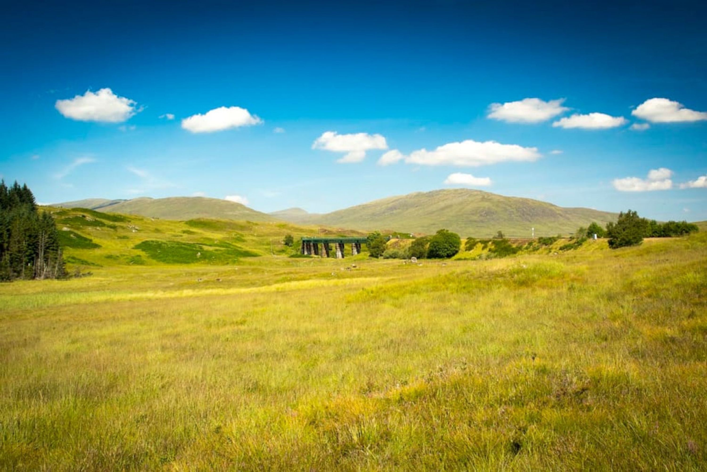 Un champ verdoyant avec une structure en pierre visible au loin, sous un ciel bleu dégagé.