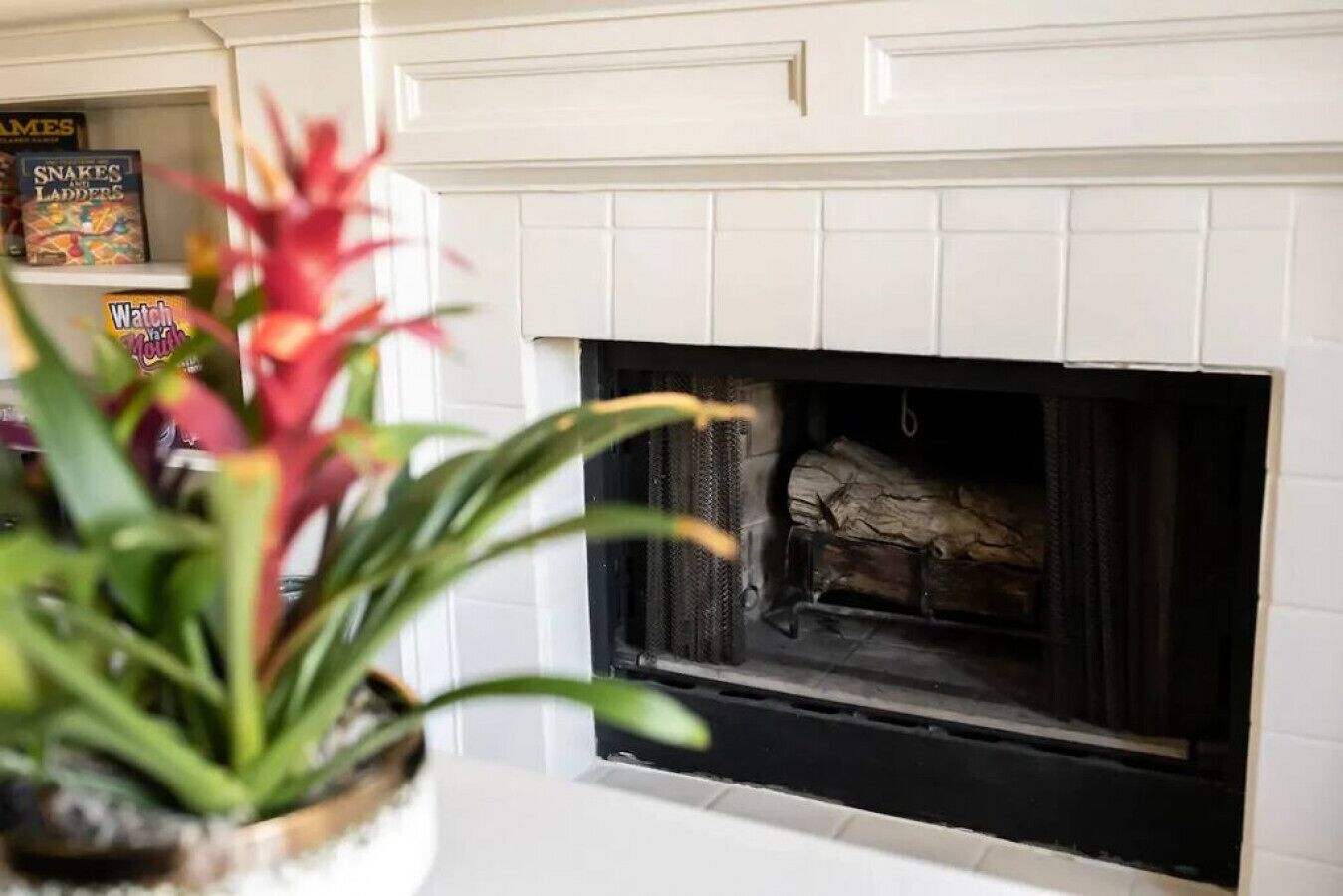 A fireplace with a log, a white mantel, and a shelf with books and a plant.