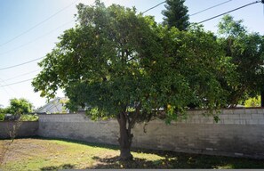 House | 2 bedrooms - Tranquil 2BR Home in Beautiful Neighborhood P24 (Burbank)