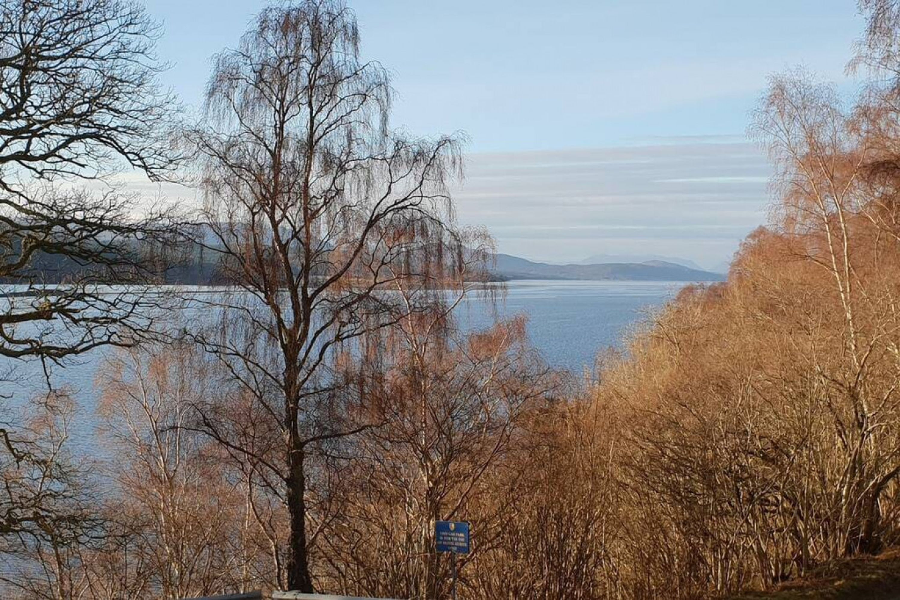 A lakeside view with leafless trees and a clear sky.