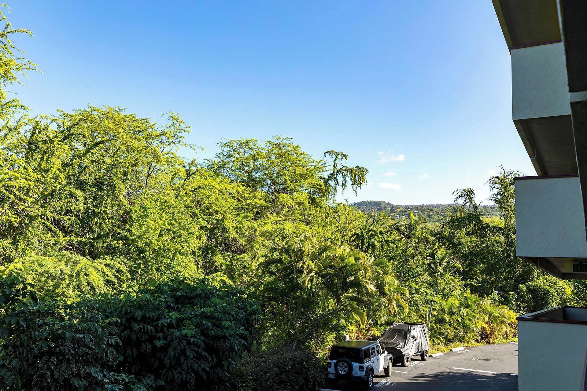 Ein Parkplatz mit einem weißen SUV und einem überdachten Fahrzeug, umgeben von dichtem Grün und blauem Himmel.