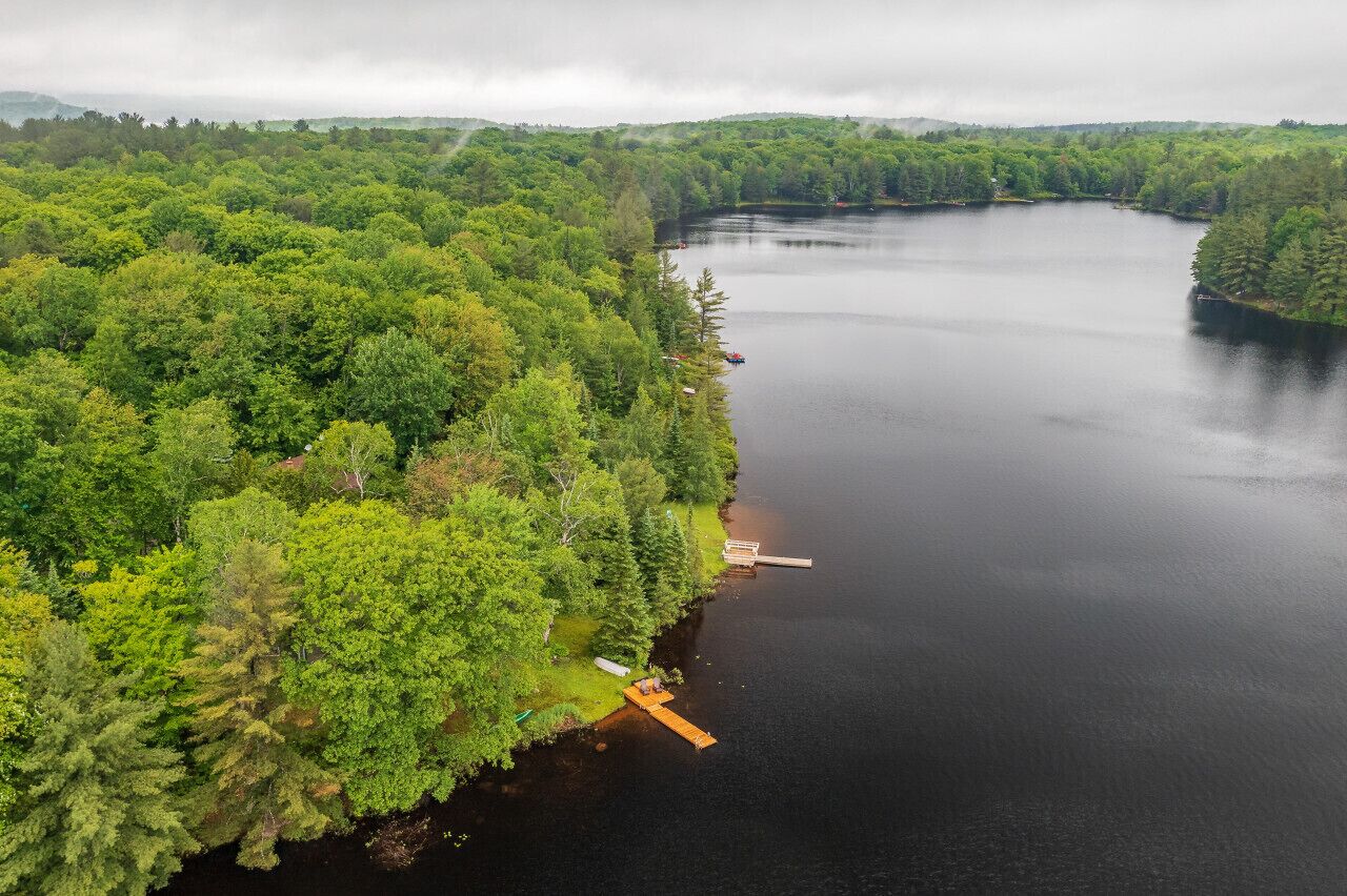 A lake surrounded by dense forest with a dock extending into the water.