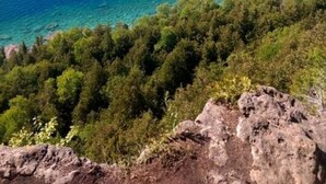 A coastal landscape with a clear view of the sea and dense green forest. - Family Friendly Cottage Walking Distance to Lions Head Beach (Northern Bruce Peninsula)
