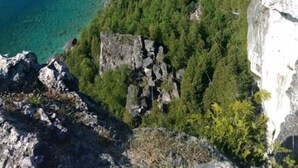 A coastal landscape with a cliff, dense forest, and a clear view of the sea. - Family Friendly Cottage Walking Distance to Lions Head Beach (Northern Bruce Peninsula)