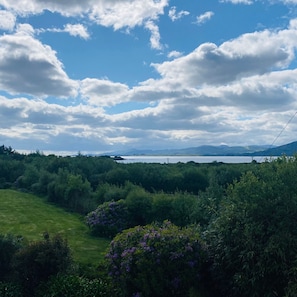 A landscape with a grassy field, dense shrubbery, and purple flowers in the foreground. - 3 Bedroom Home 15 Mins Drive From Kenmare Town (Dawros)