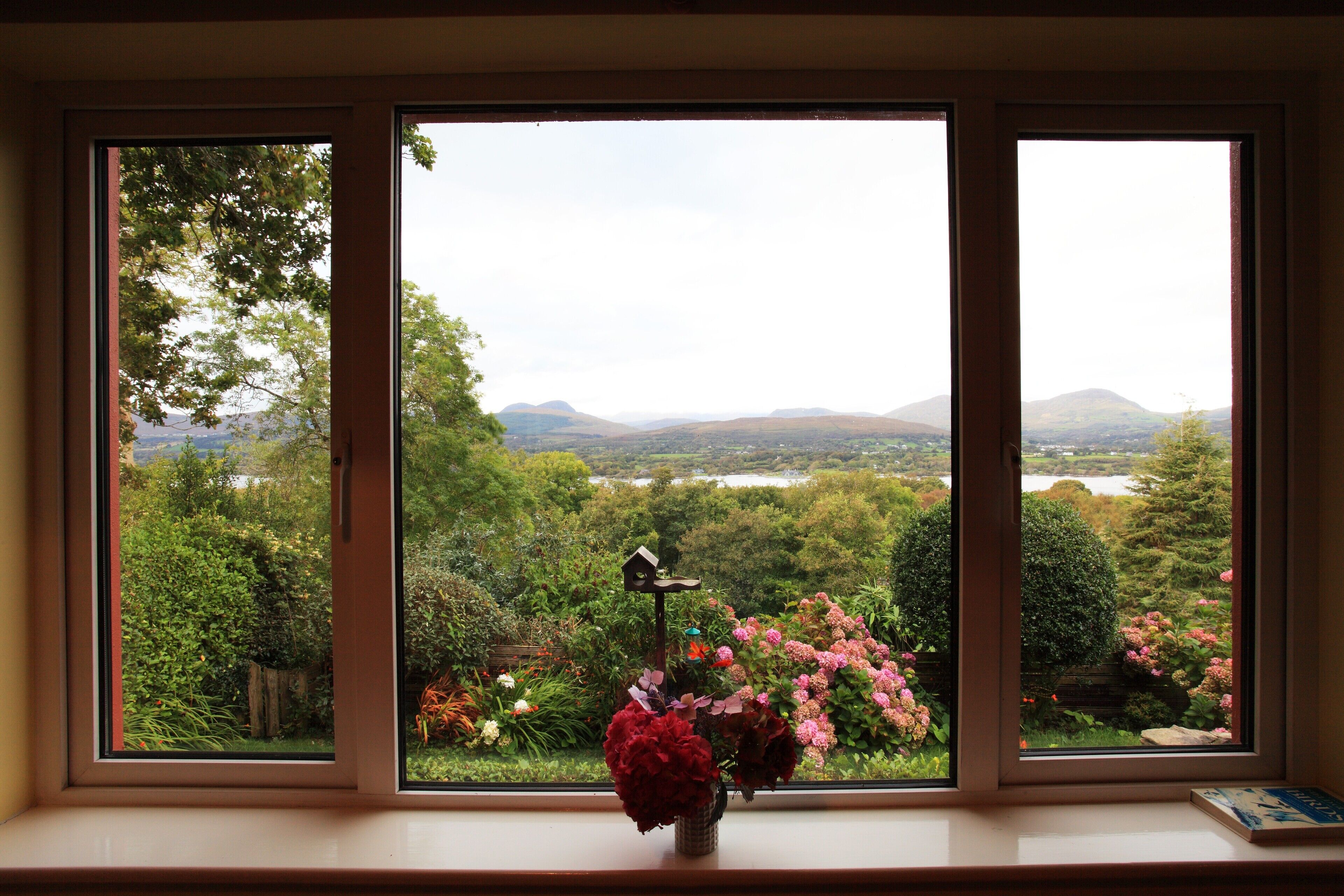 A window with a view of a garden and mountains.