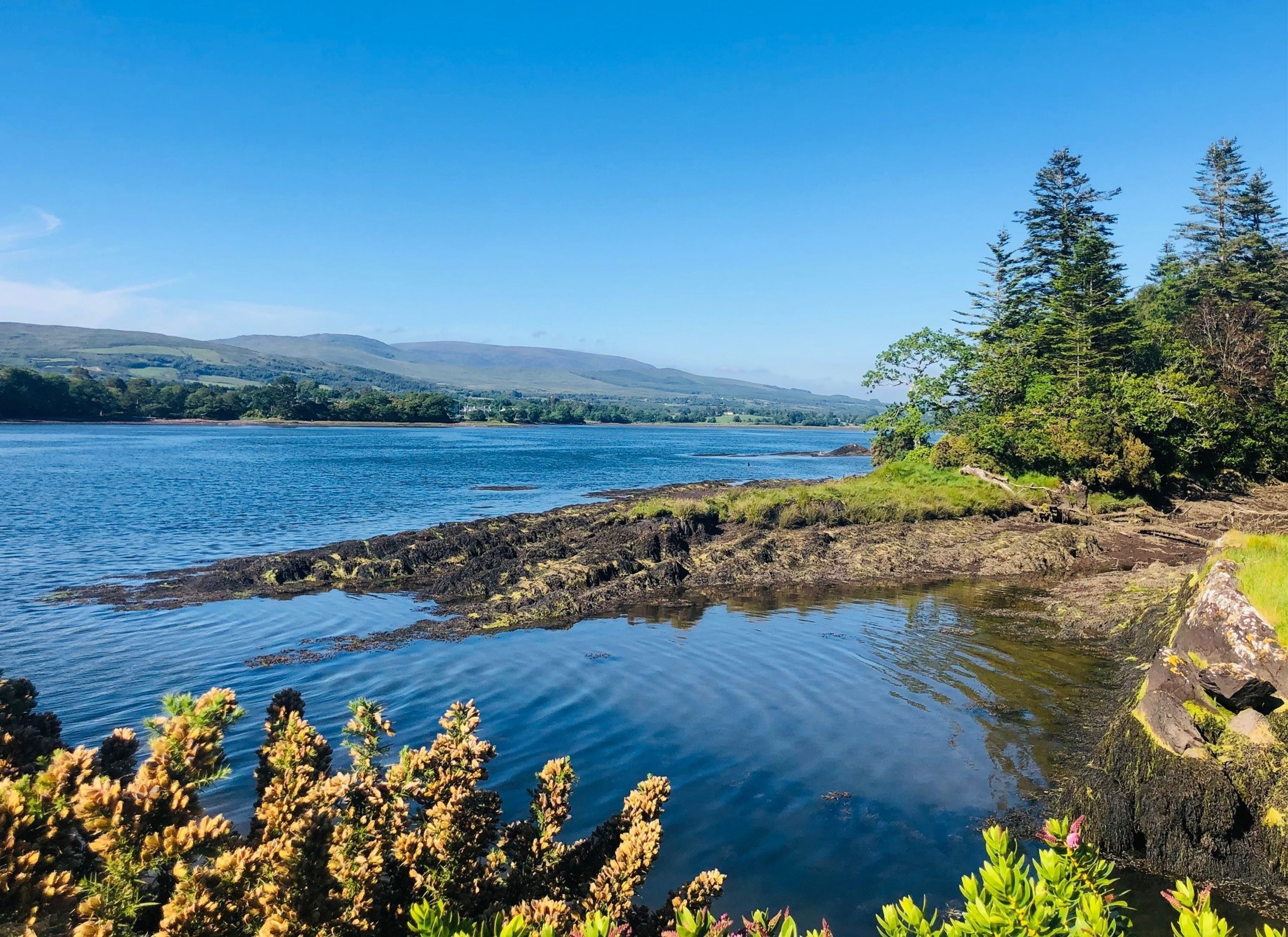 A coastal landscape with a rocky shoreline, calm water, and distant hills.