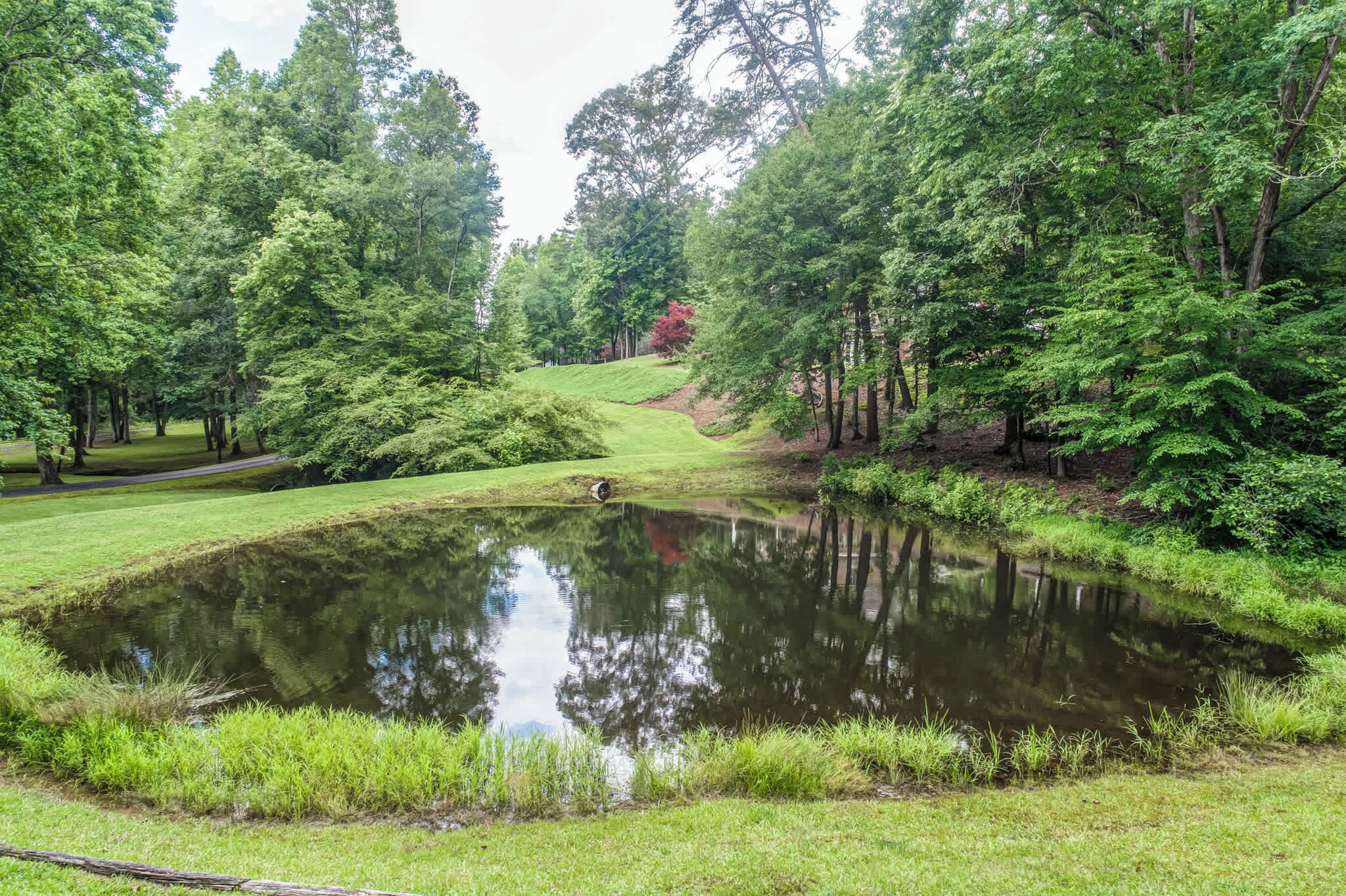A serene pond surrounded by lush greenery and trees.