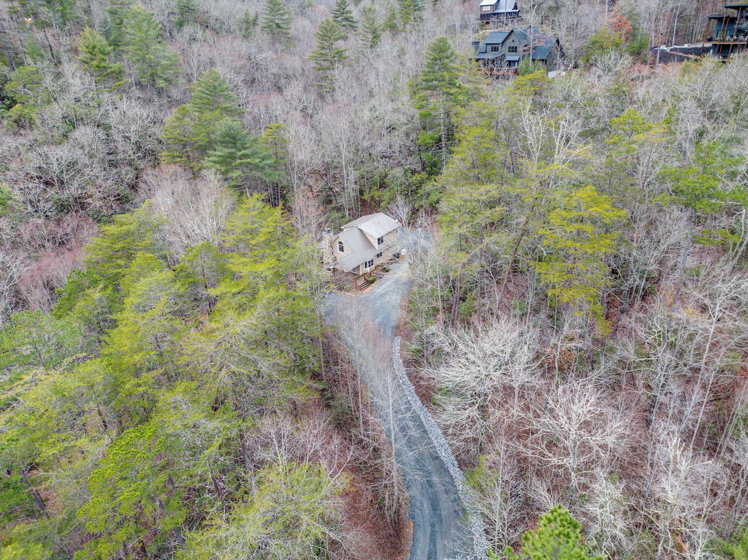 Una cabaña apartada rodeada de bosque denso, accesible por un camino estrecho.
