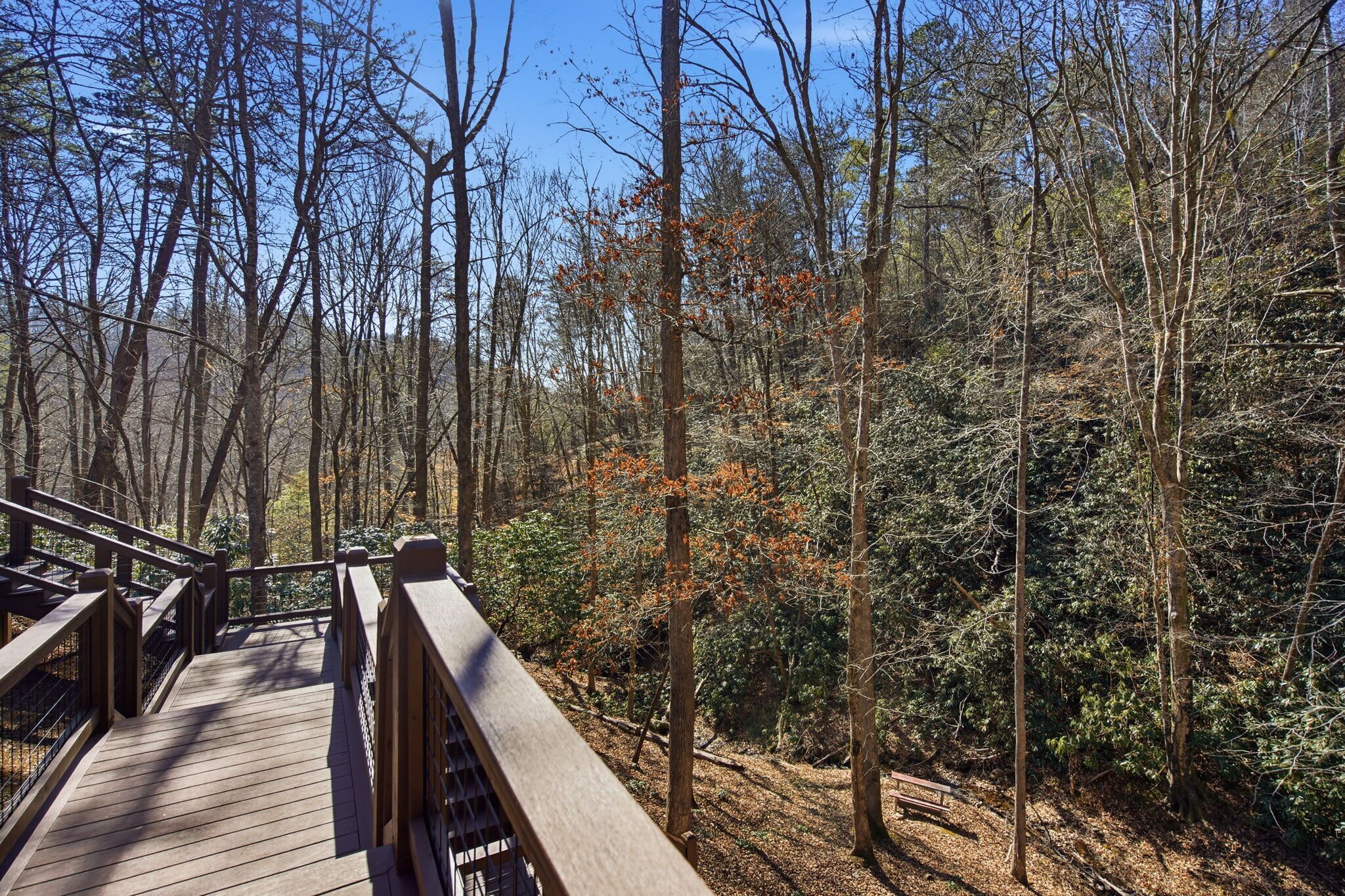 A wooden bridge in a forest with dense trees and a clear sky.