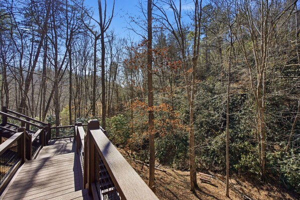 A wooden bridge in a forest with dense trees and a clear sky. - Bear Track Falls Peaceful, Quiet Mtn. Retreat! (Blue Ridge)