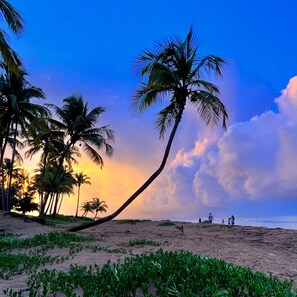 On the beach