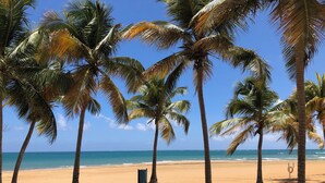 A beach with palm trees and a clear blue sky. - Tropical Beachfront Villa (Río Grande)