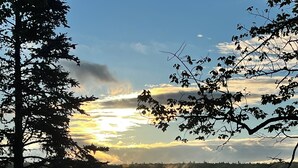 Tyyni järvi, jonka etualalla on puu ja taustalla auringonlasku.