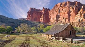 Camastros y toallas de playa