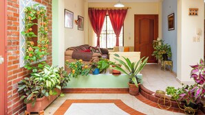 A cozy living room with a sofa, a coffee table, and various potted plants.