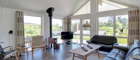 Tv, eldstad och dvd-spelare