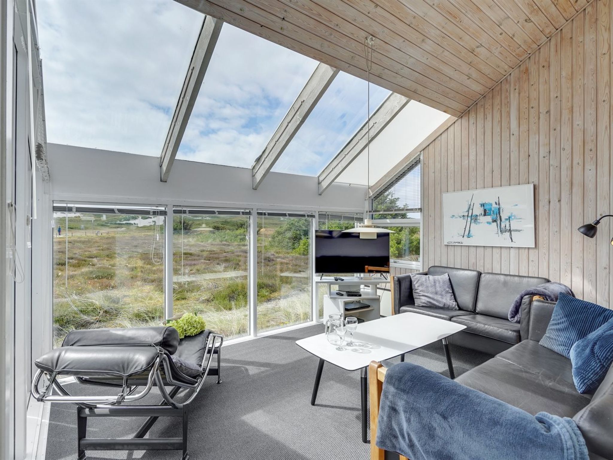 TV, fireplace, DVD player