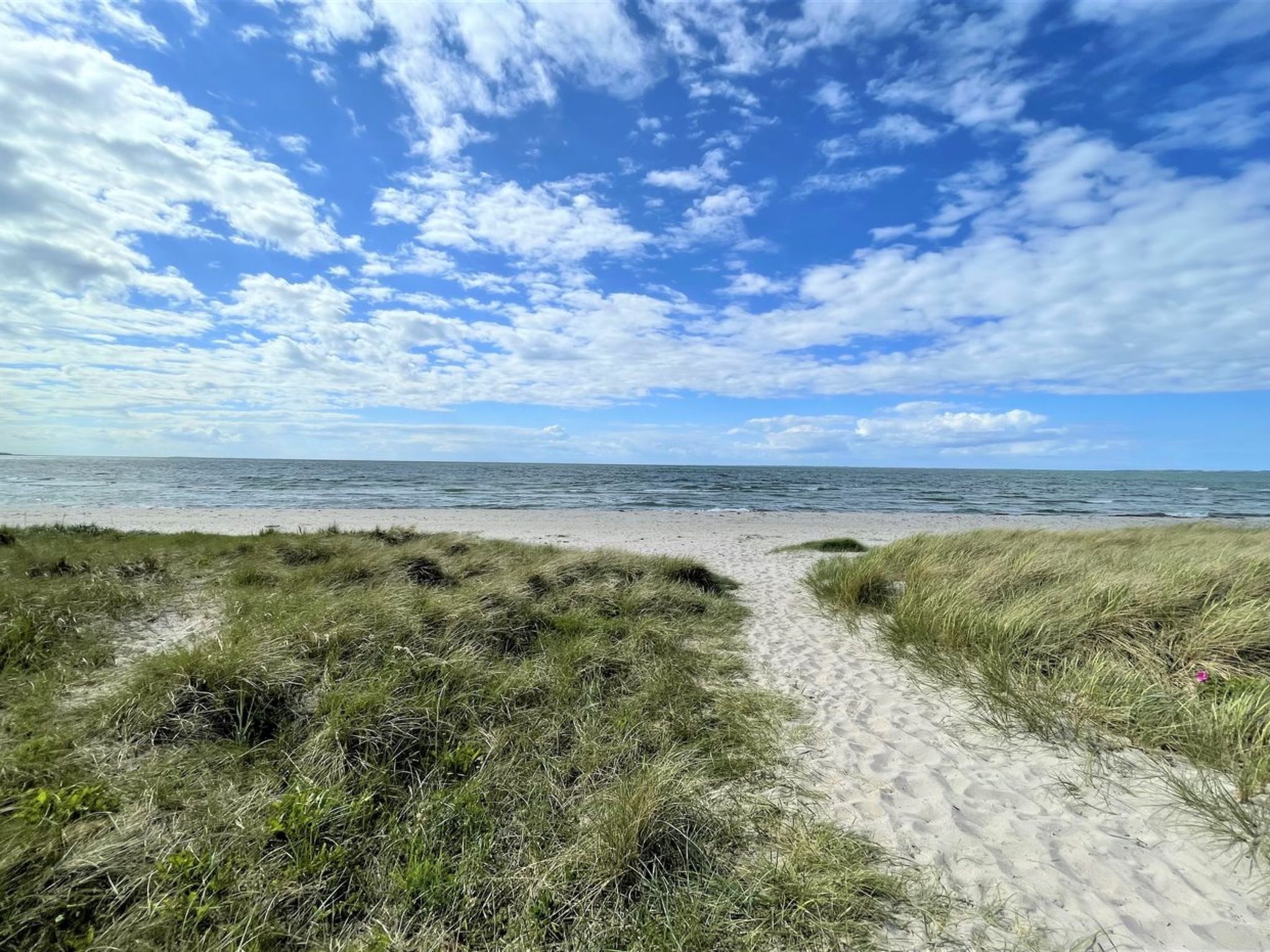 Un sentier bordant la plage, menant à l’océan, avec des dunes herbeuses et un ciel dégagé.