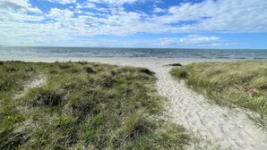 Een strandpad dat naar de oceaan leidt, met grasduinen en een heldere lucht.
