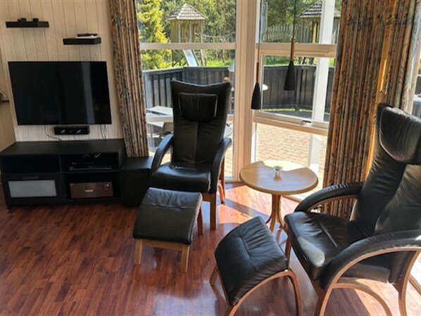 TV, fireplace, DVD player