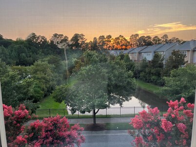 Amazing location Cary,Morrisville,Apex downtown.Close to RDU,RTP,Shopping Center