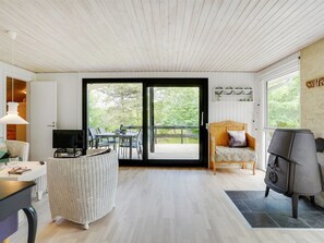 TV, fireplace, DVD player