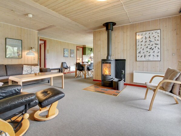 TV, fireplace, DVD player