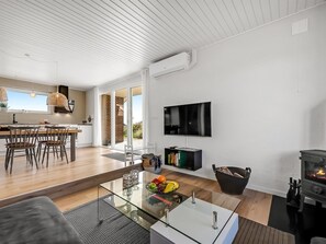 Fernseher, Kamin