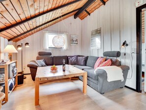 电视、DVD 播放器