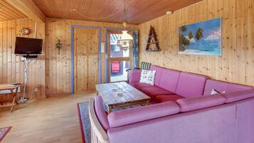 Télévision, cheminée, lecteur de DVD